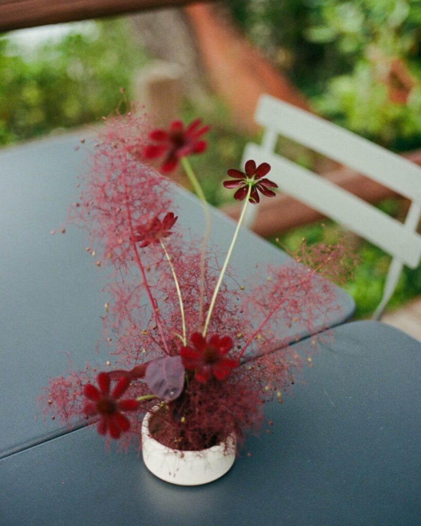 ikebana flower arrangements